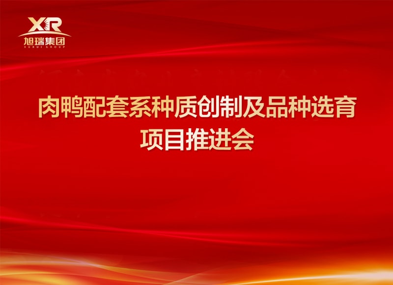 河南省肉鴨種質(zhì)創(chuàng)制及品種選育項目推進會順利召開